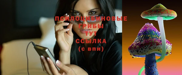 твердый Алексеевка
